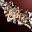 Dynasty Bow - Great Gale